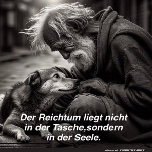 Alter,-Hund,-und-der-wahre-Sinn-des-Lebens.jpg von Brenda22