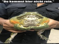 Froschclub: T�rsteher ohne R�ckflugticket