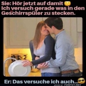 Geschirrspüler-oder-Liebesspiel?.jpg von Nele68