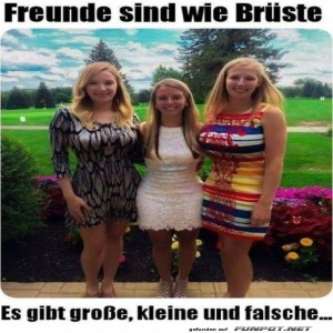 Freunde.jpg von Gabriel