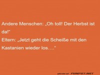 Herbstfreude vs. Kastanienchaos: Eltern-Edition