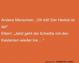 fun-Bild: Herbstfreude vs. Kastanienchaos: Eltern-Edition