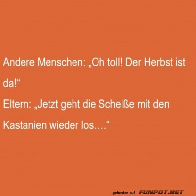 Herbstfreude-vs.-Kastanienchaos:-Eltern-Edition.jpg von Josefin