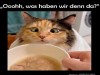 weiter