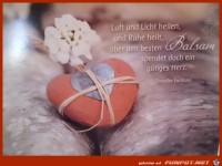 Bester Balsam ist ein gutes Herz