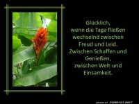 Gluecklich wenn die Tage fliessen