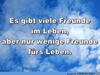 es gibt viele Freunde im Leben