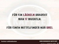 Drei Muskeln