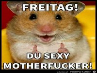 Freitag