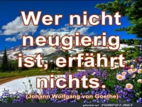 Wer nicht neugierig ist