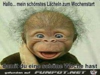 Ein L�cheln zum Wochenstart