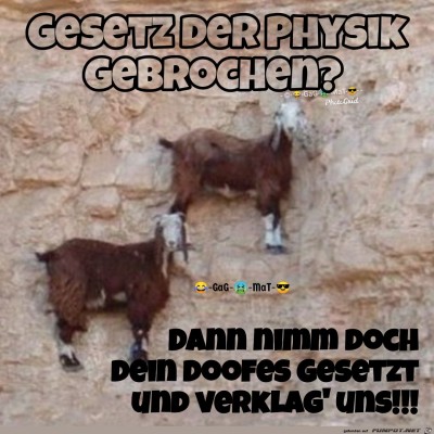 Physik.jpg von Bonobo666