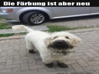 Das war sch�n