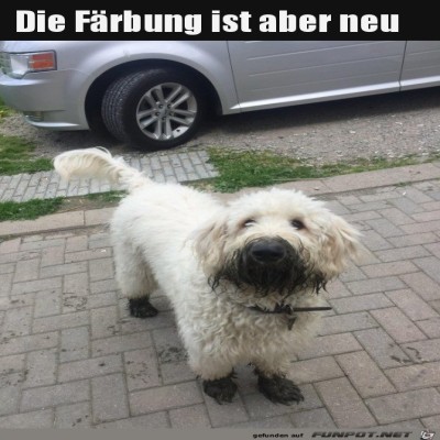 Das-war-schön.jpg von Lina