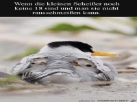 Man kann die Kinder noch nicht rausschmei�en
