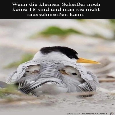 Man-kann-die-Kinder-noch-nicht-rausschmei&szlig;en.jpg von Marisa