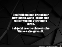 Gleichwertige Vertretung