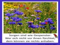 Sorgen sind wie Gespenster