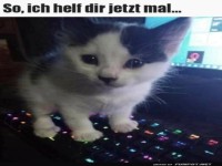 Ich helf dir jetzt mal