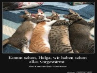 Bett ist vorgew�rmt