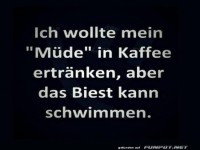 Kaffee kann M�digkeit nicht ertr�nken