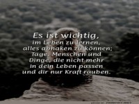 Lebensweisheit f�r den Alltagsdschungel