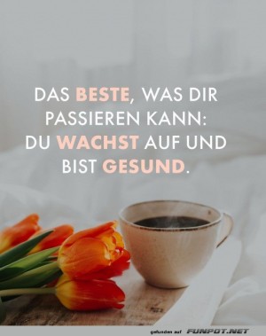 Kaffee-und-Tulpen:-Der-geheime-Gesundheitskick!.jpg auf www.funpot.net