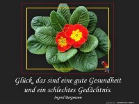 Glück ist 1