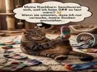 Strumpf-Strategien einer stilvollen Katze