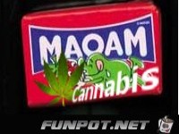 maoam