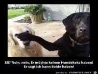 ich kann beide haben