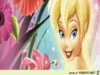 facebook-titelbilder 067