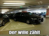 Der Wille z�hlt