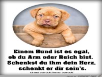 Mein Gott ist der niedlich