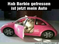 Mein Auto