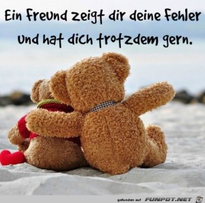 Ein-Freund-hat-dich-trotzdem-gern.jpg auf www.funpot.net