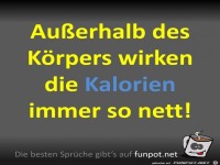 Die Kalorien