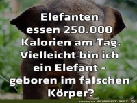 Geboren im falschen Koerper