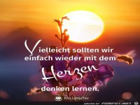 Vieleicht sollten wir