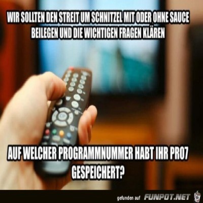 Schnitzel-mit-oder-ohne-Sauce.jpg von Lillian