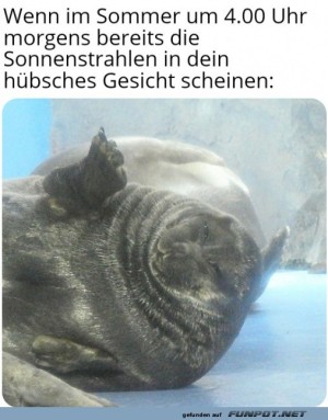 es-ist-grell.jpg auf www.funpot.net