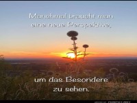 Neue Perspektive