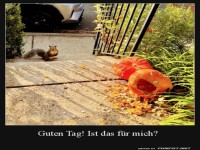 Ist das f�r mich?