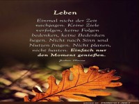 Einmal nicht der Zeit nach jagen