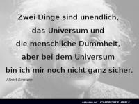 Zwei Dinge sind unendlich: Universum und Dummheit