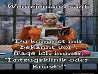 Witziges Meme mit humorvollem Spruch