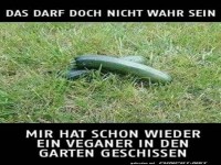 Humorvolle Darstellung im Garten