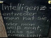 intelligenz
