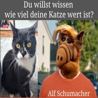 Katzenwert-von-ALF-geschätzt!.jpg von Beppi