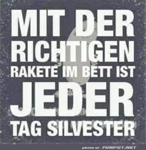 Silvester.jpg auf www.funpot.net